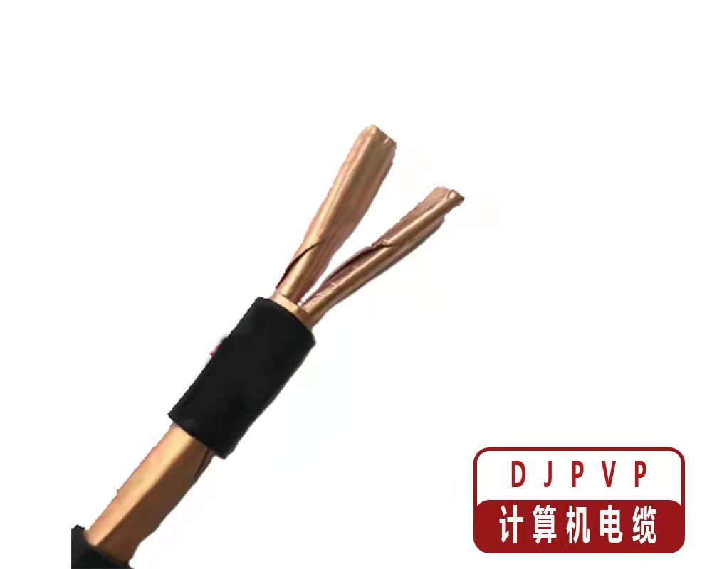 計算機電纜