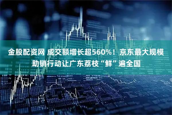 金股配资网 成交额增长超560%！京东最大规模助销行动让广东荔枝“鲜”遍全国