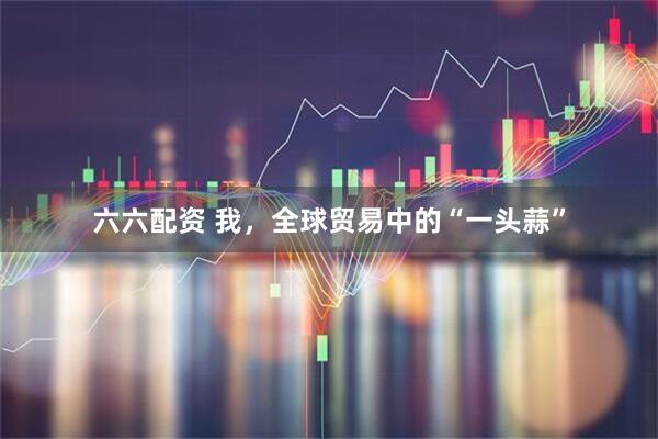 六六配资 我，全球贸易中的“一头蒜”