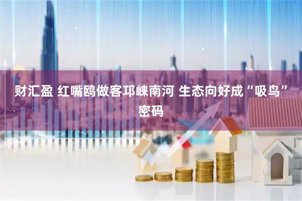 财汇盈 红嘴鸥做客邛崃南河 生态向好成“吸鸟”密码